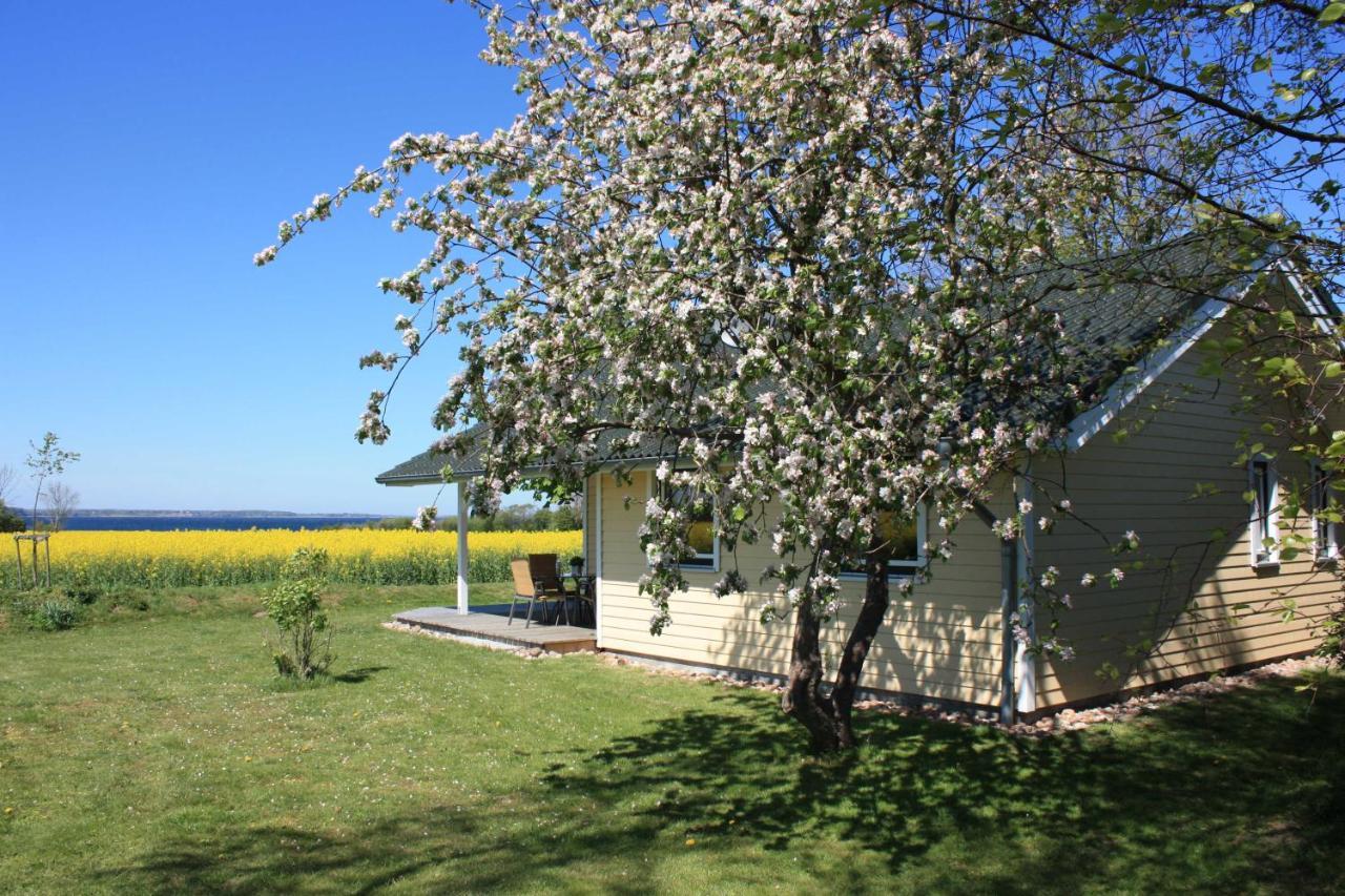 Ferienhaus Miramar Villa Gelting Dış mekan fotoğraf